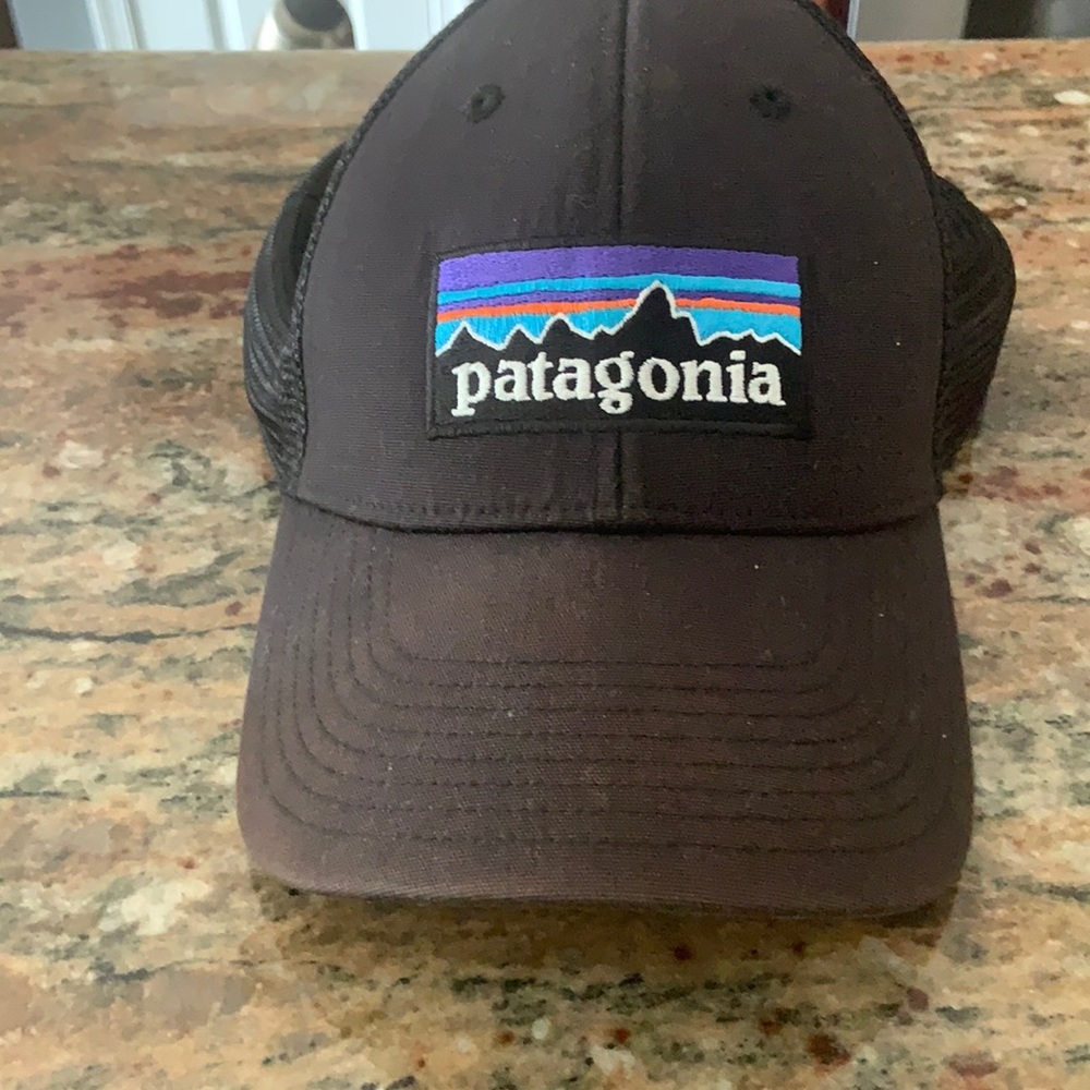 Patagonia trucker hat